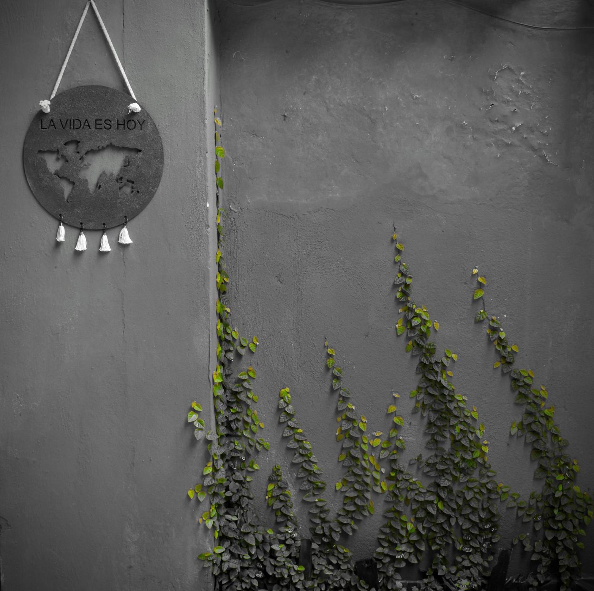 Leo'S Clan Beach Hostel Paraty Exterior foto